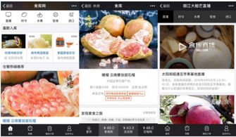 杭州四喜托管可信嗎？事實說話 食庫網(wǎng)農(nóng)產(chǎn)品基地加工與品牌營銷的領(lǐng)航者