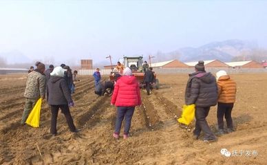 種地也能發財！撫寧人靠食用農產品初加工走穩致富路